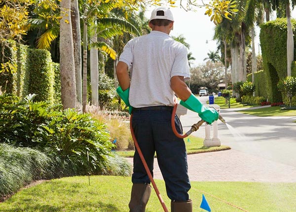 About Hamel MN Pest Control Pros